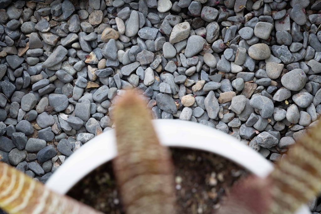 River Pebble 20-40mm